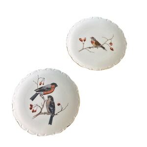 Rare Schumann Arzberg Bavaria Bird Porcelain Plate #52 #61